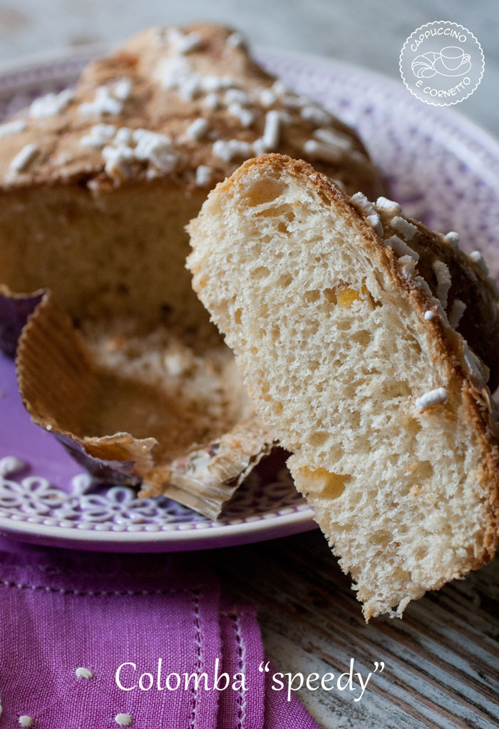 colomba speedy-veloce