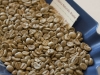 lavazza3