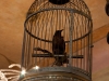 eating-piceno10