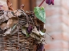 eating-piceno3