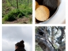 eating-piceno8