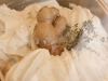gelato19
