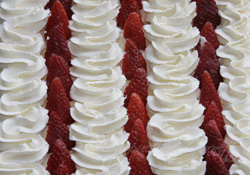 Inizialmente doveva essere un tiramisù….