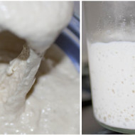 Rinfresco del licoli ( lievito madre liquido)