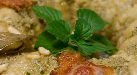Bordura di riso con pesto alla menta e sfoglie croccanti : una ricettaEcoFood