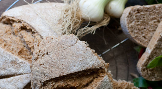Pane con farina integrale di solina, grazie Tobia!