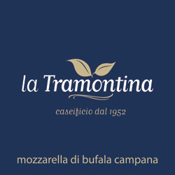 banner-tramontina