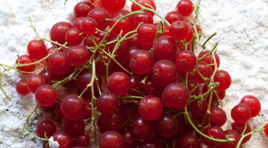 Torta al grano saraceno con ribes rossi