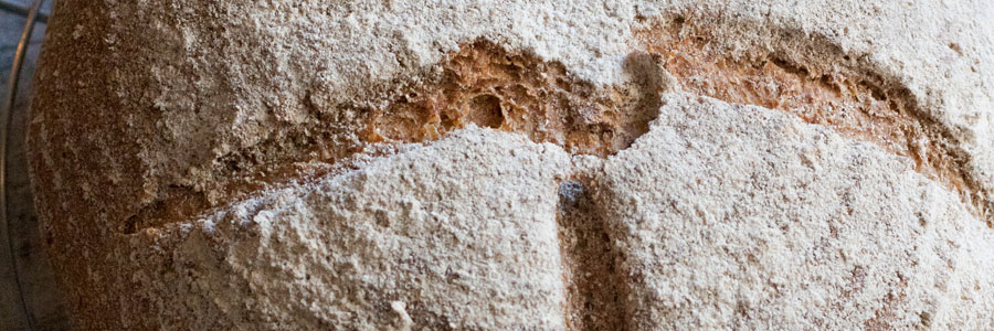 Festa della pasta madre romana e la mia Miss Nera