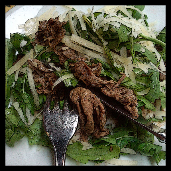 cicciabomba7