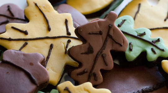 Biscotti di farina di castagne decorati