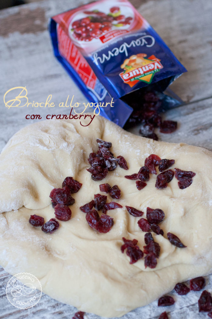 brioche allo yogurt con cranberry
