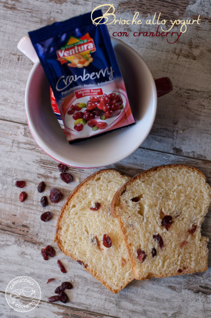 brioche allo yogurt con cranberry