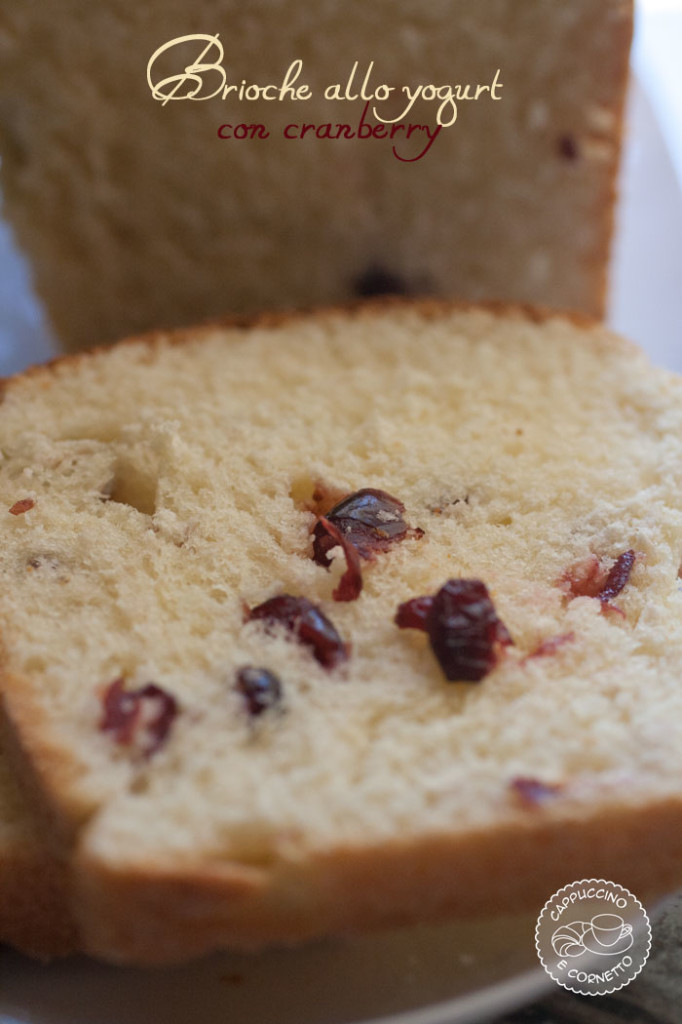 brioche allo yogurt con cranberry