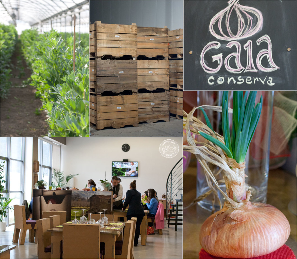 Azienda agricola Gaia